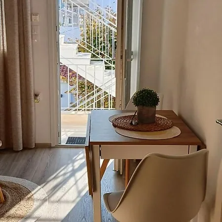 Seaside Oasis