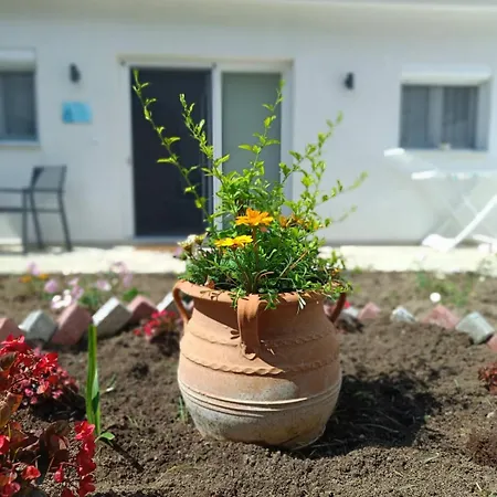 Seaside Oasis Apartment Pefkochori