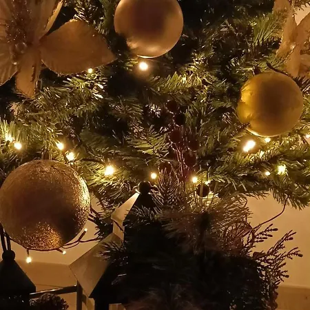 公寓 Seaside Oasis *